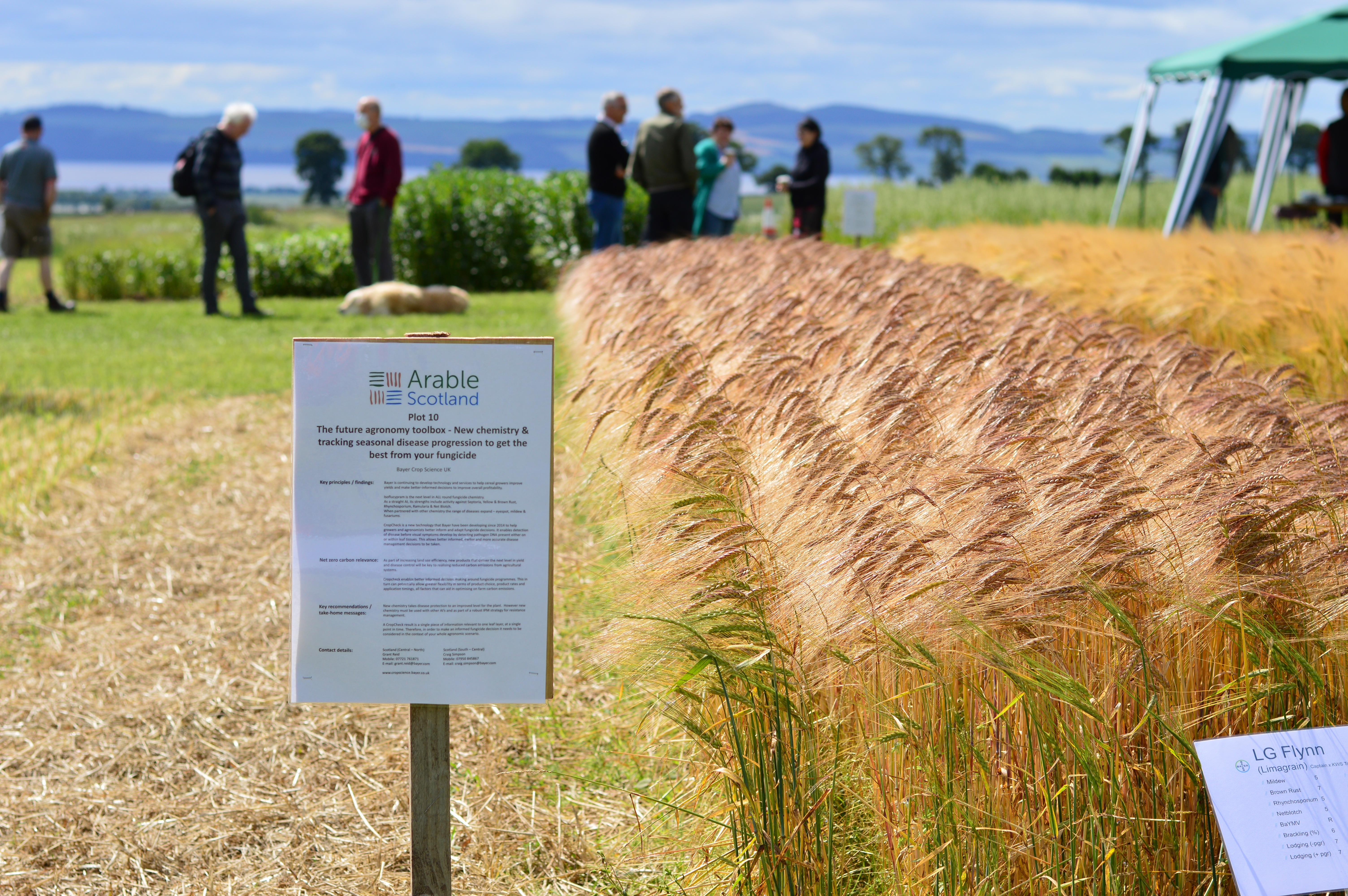 Arable Scotland