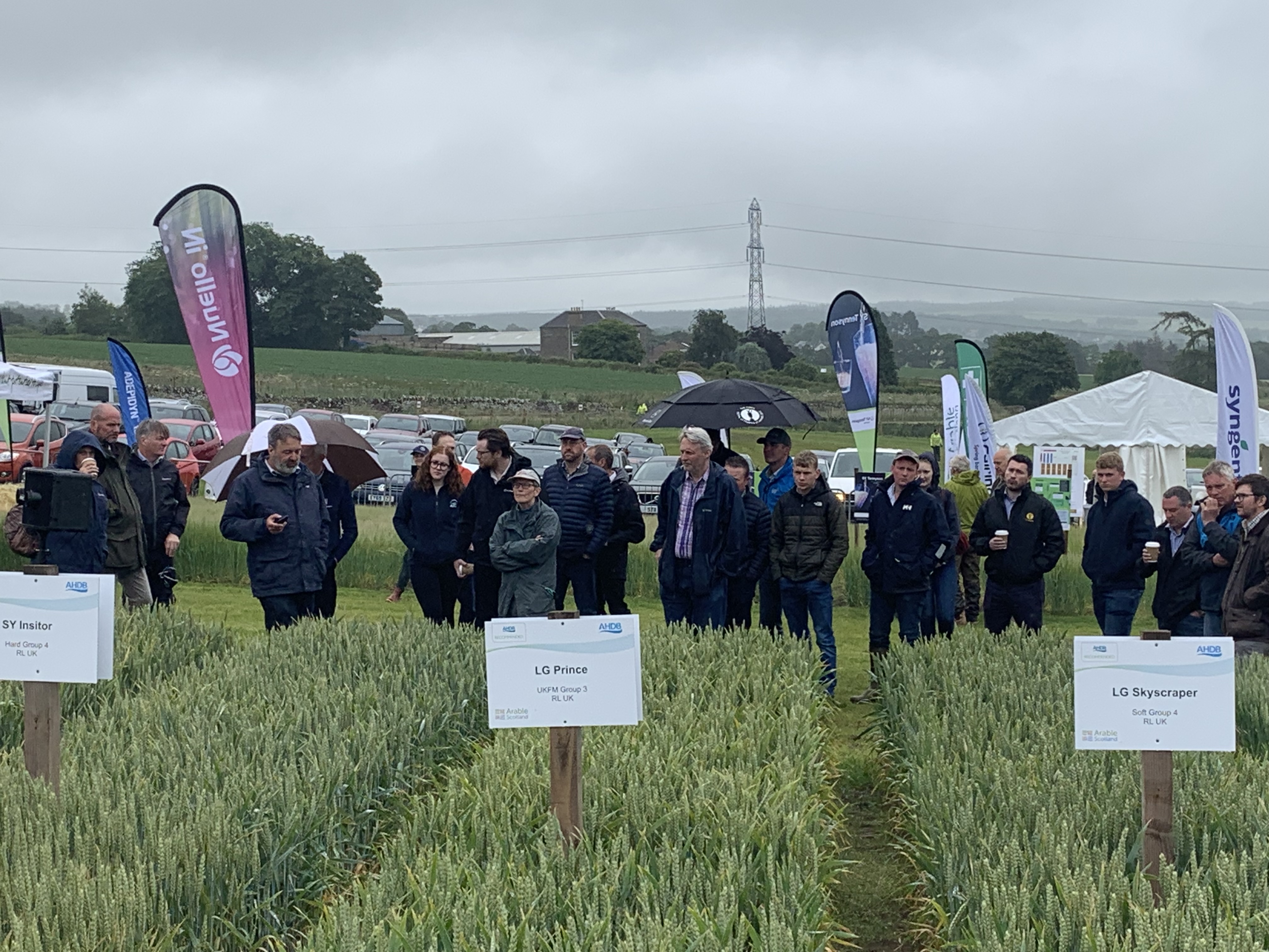 Arable Scotland returns to Balruddery Farm in 2024