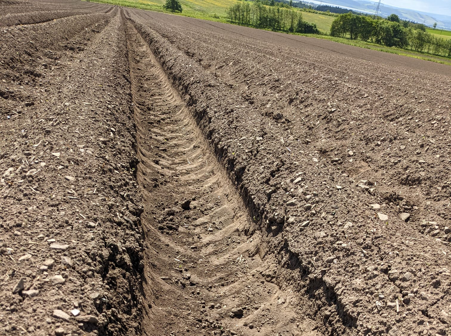 soil