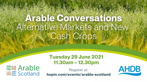 Publicity image for the first Arable Conversation session on markets and cash crops