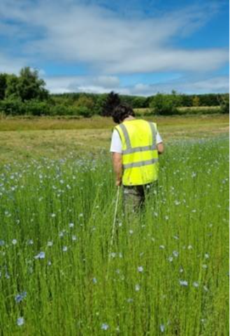 Field with tall grass, person standing with back to the camera with high visibility vest on, blue skies